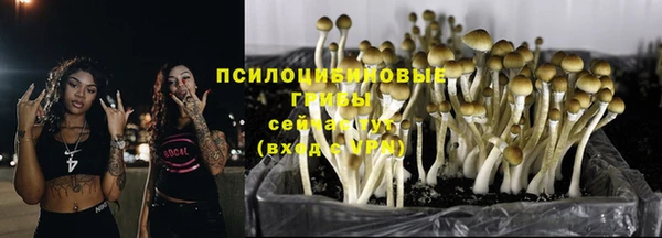 герыч Абинск