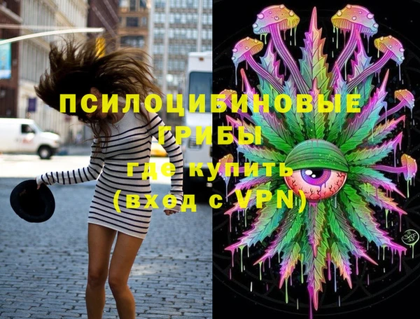 бошки Алексеевка