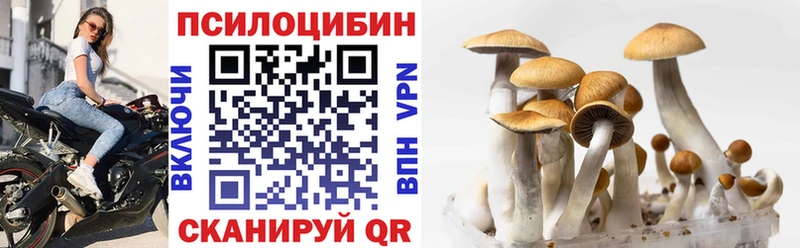 Псилоцибиновые грибы прущие грибы  хочу наркоту  Черкесск 